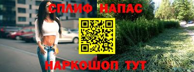 прущие грибы Тверь