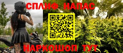 прущие грибы Тверь